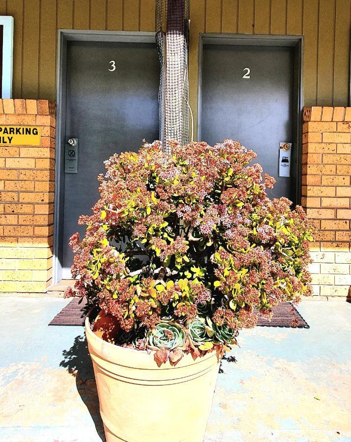Goldrush Motel Young Cbd Exterior photo